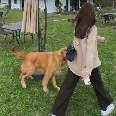 在森林的那边
