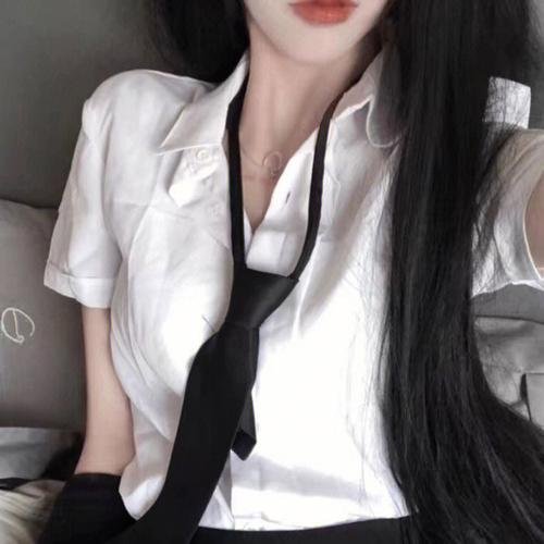案中案